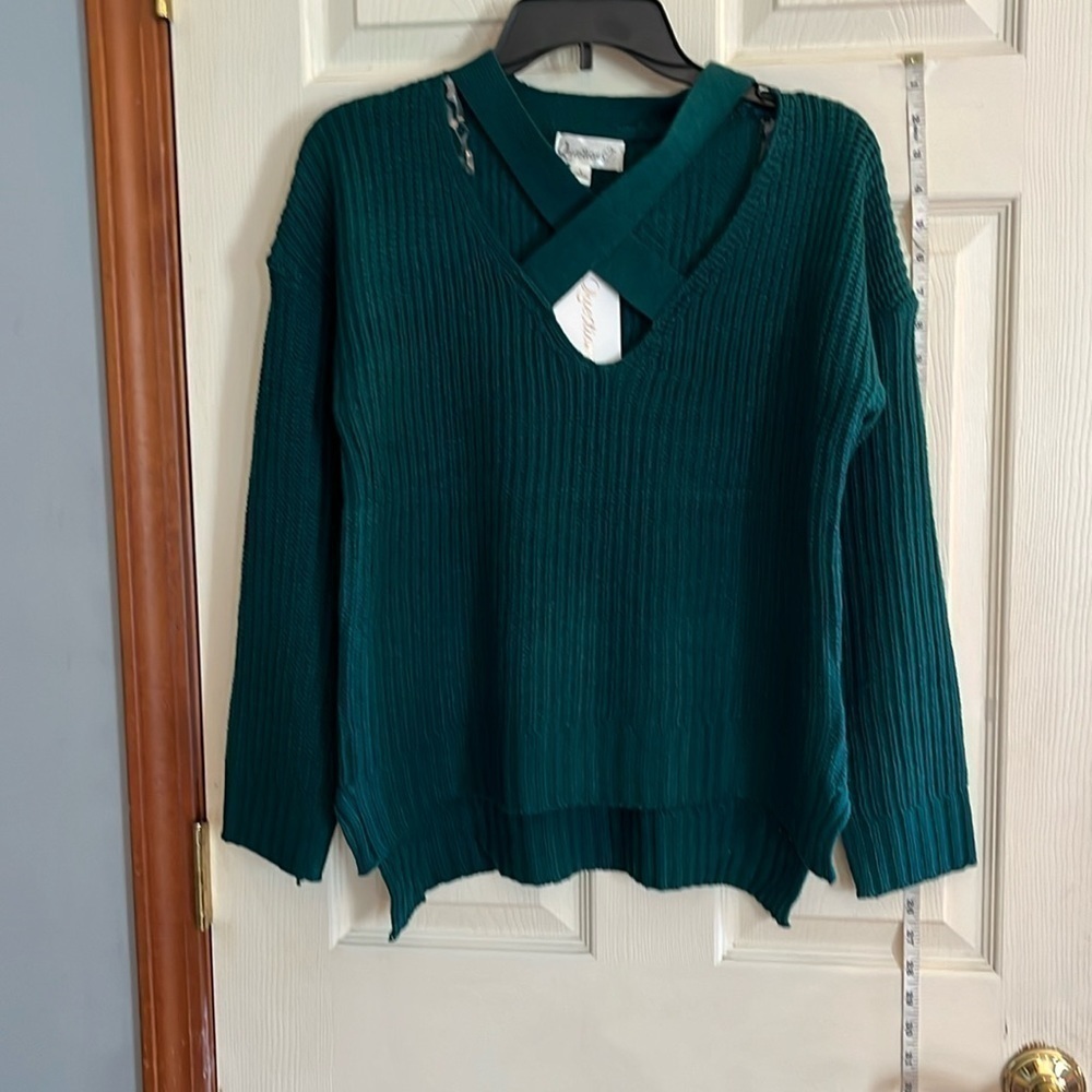 NWT-questions?-L- green-Kris Kross V-neck long sleeve loosely woven sweater